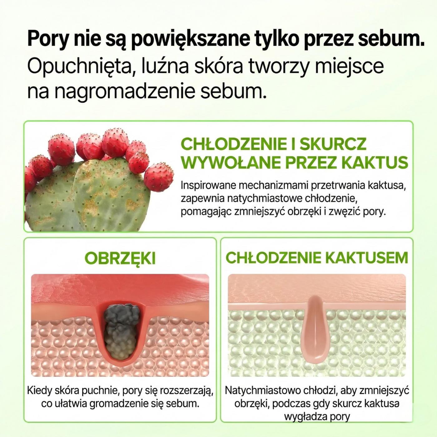 Multifunkcyjny balsam z kaktusem - Wygładzenie porów i zmarszczek, matowe wykończenie